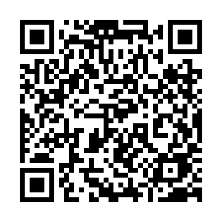 QR code for 955SIE