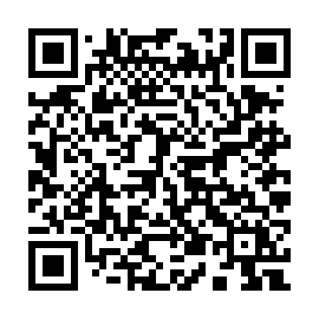 QR code for 956DFX