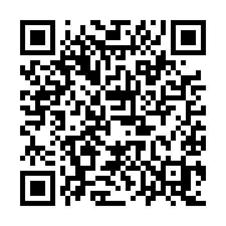 QR code for 966TII