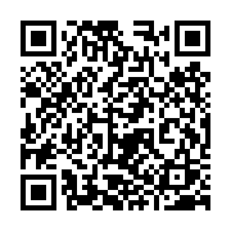 QR code for 981DSS