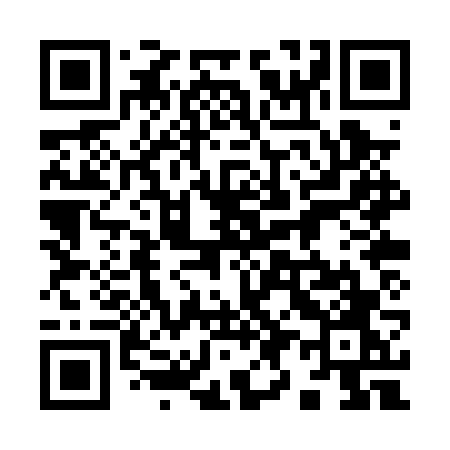 QR code for 990PVO