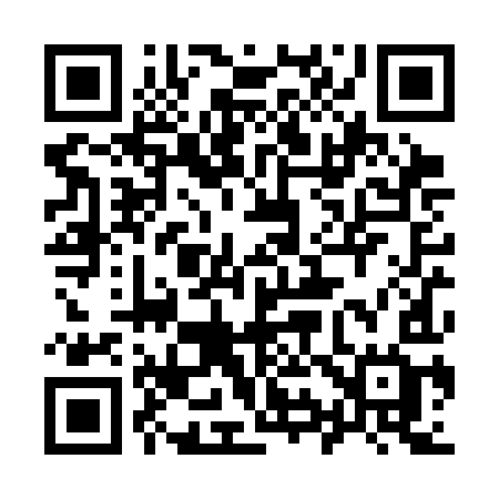 QR code for 990SIG