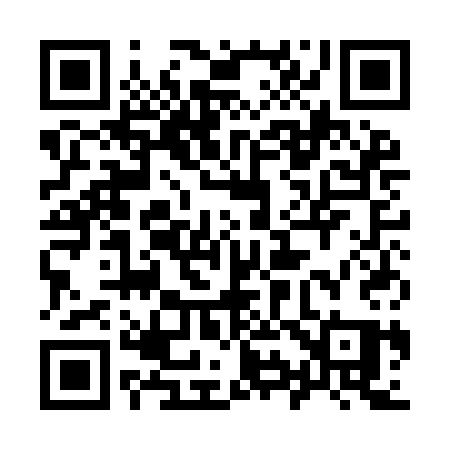 QR code for 991ICQ