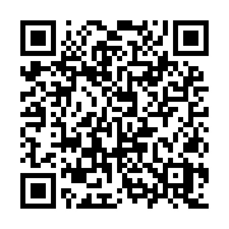 QR code for 991INX