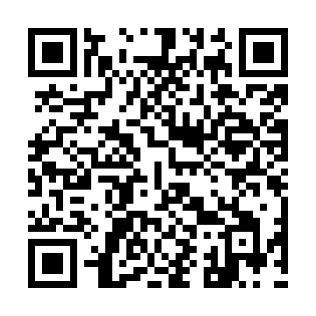 QR code for 991OZI