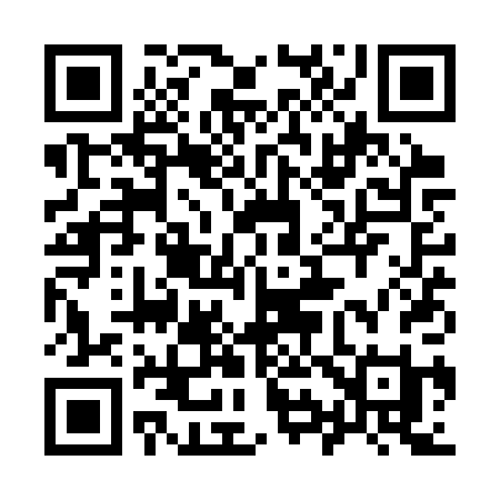 QR code for 991SPI
