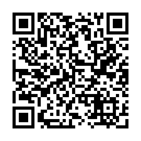 QR code for 993CTL