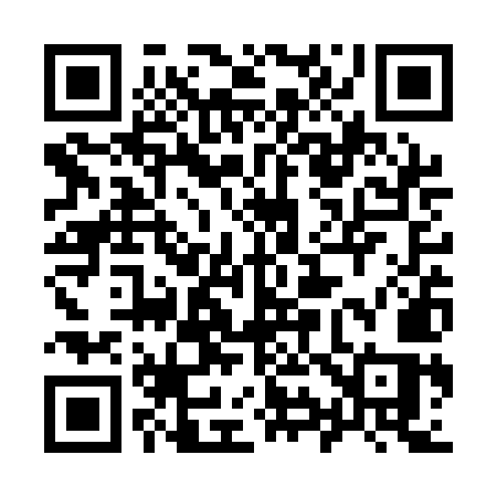 QR code for 993QMS