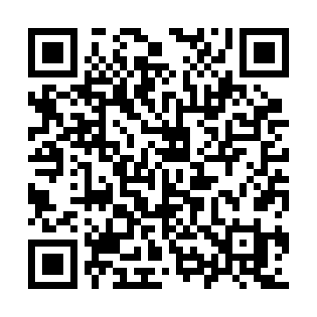 QR code for 993RFI