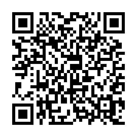 QR code for 993ZEM