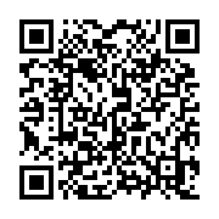 QR code for 993ZJJ