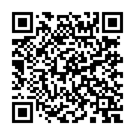 QR code for 995LDQ
