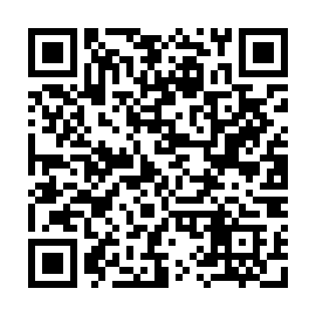 QR code for 996LOC