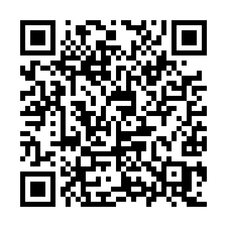 QR code for 996TIC