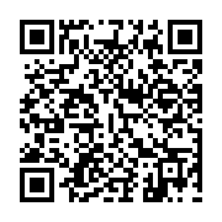 QR code for 996WMS