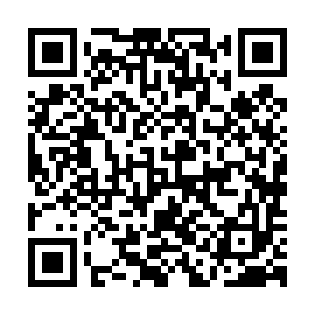 QR code for AAH493