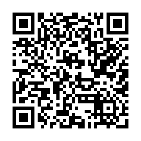 QR code for ACE396