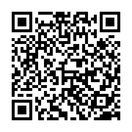 QR code for ACE878