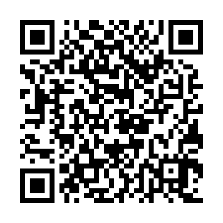 QR code for ADG807