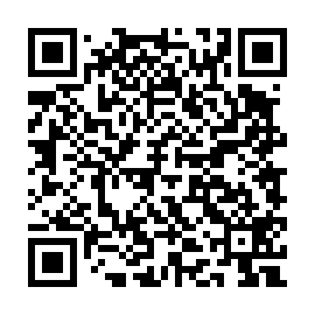 QR code for ADT419