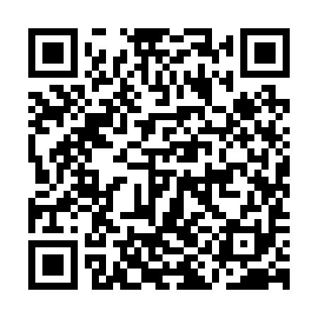 QR code for AII291