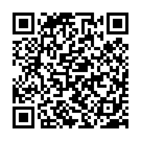 QR code for AIR411