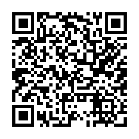 QR code for AMU313