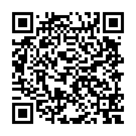 QR code for ANY498