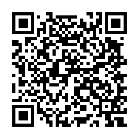 QR code for APE491