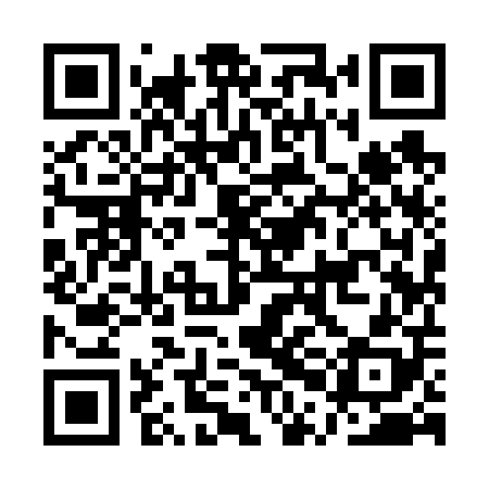 QR code for API608