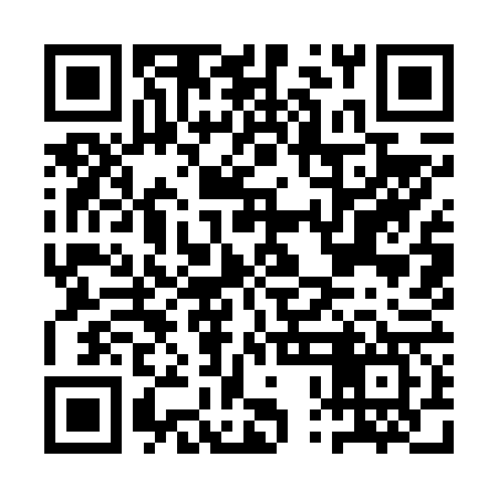 QR code for API667