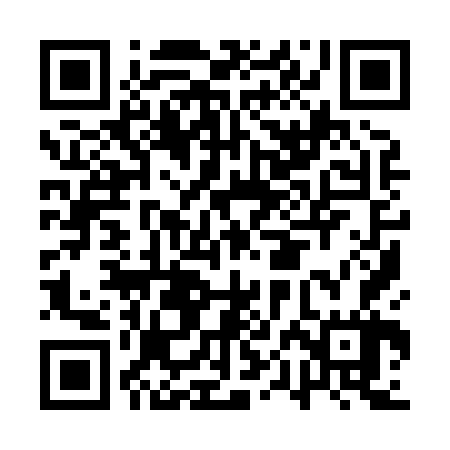 QR code for API867
