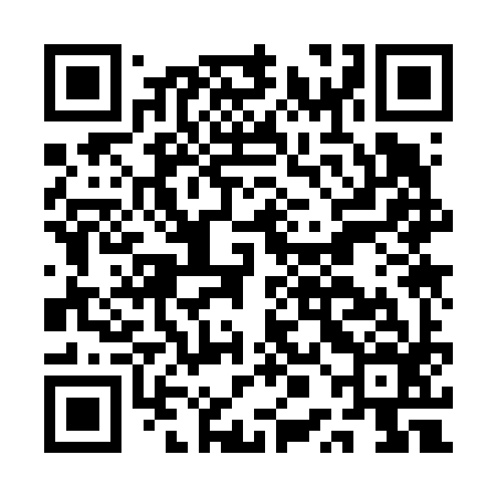 QR code for APK696