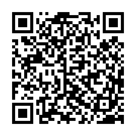 QR code for APP463
