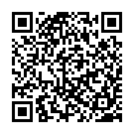 QR code for APS394