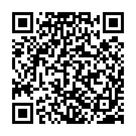 QR code for ARA593