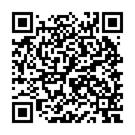 QR code for ASE293