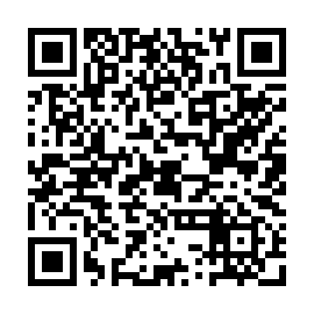 QR code for ASI299