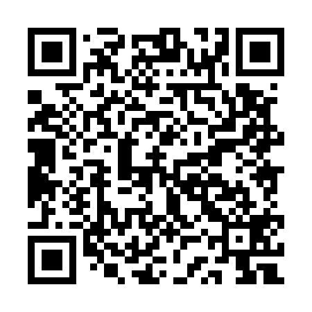 QR code for ASX519