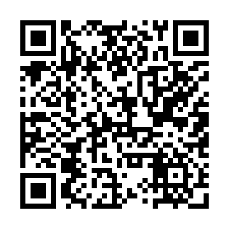 QR code for AYU917