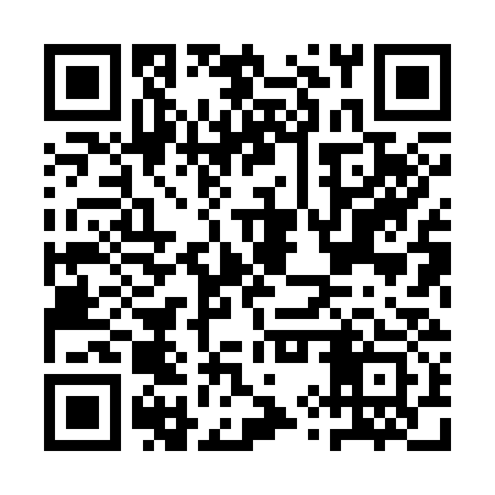 QR code for AYX333
