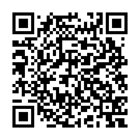 QR code for BAB335