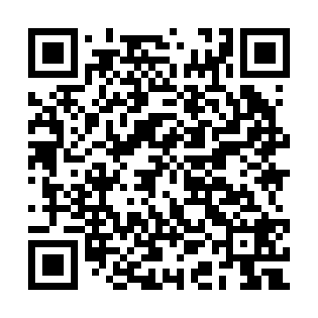 QR code for BAI228