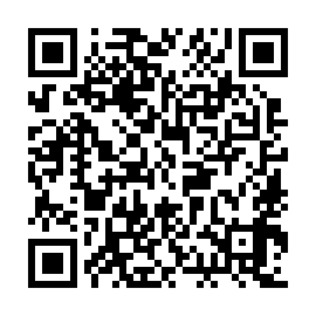 QR code for BAO299