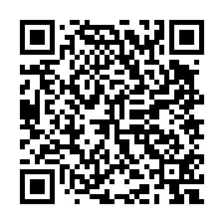 QR code for BDZ411