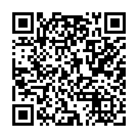 QR code for BFA919