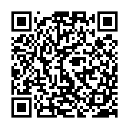 QR code for BFQ541