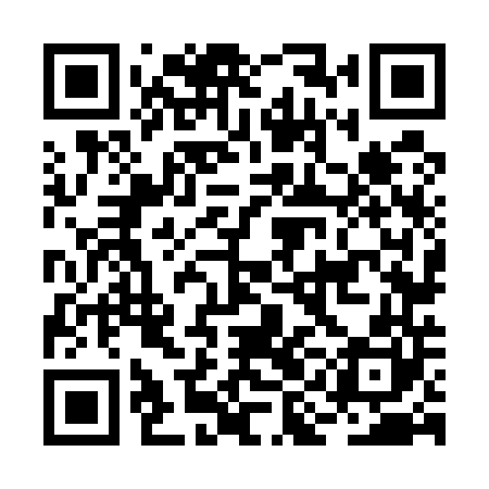 QR code for BIN540
