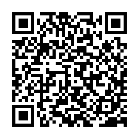 QR code for BIR300