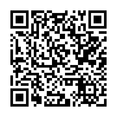 QR code for BIS476